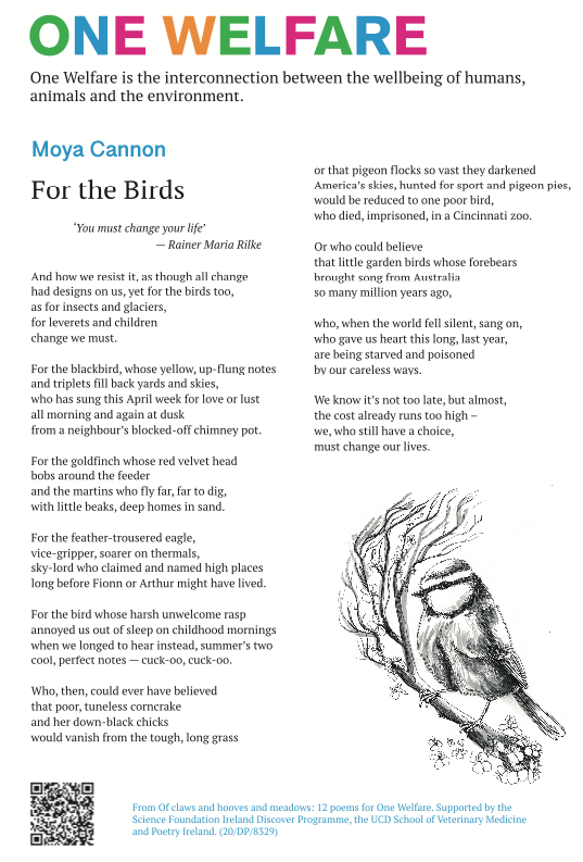 This is a poem called For the Birds, and it was written by Moya Cannon as part of a project on One Welfare